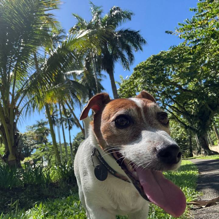 4e7fa78b 7ce6 4421 aaf5 46fd5b3d13b5 1772842820649