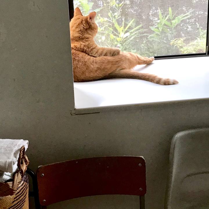 4e7fa890 22e8 4fb8 b6cd cbef4d7a1c3b 1530182583965