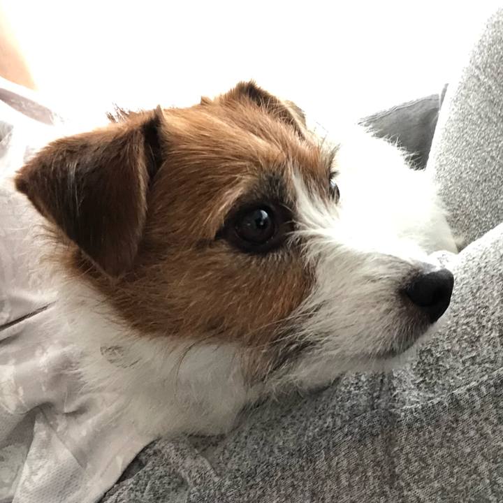 4e7fabbf 4dd0 4702 a64a 30fbb296431c 1600470225541