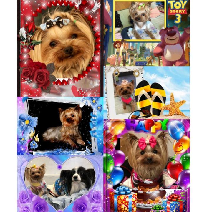 4e7fbc17 d826 4f48 986e 04ca4ca135cb 1559583738399