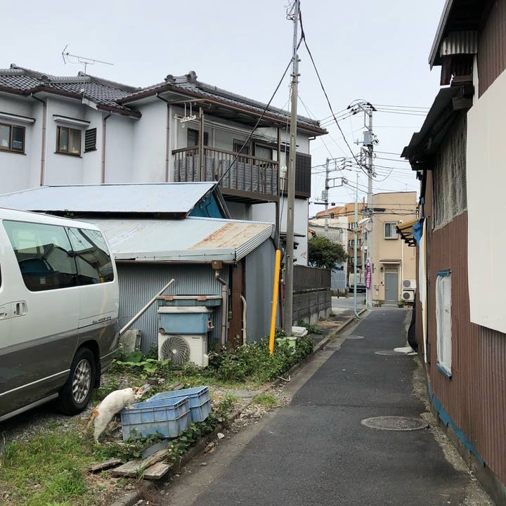 4e7fbd09 bd23 4634 ba04 a772c822096c 1527497079652