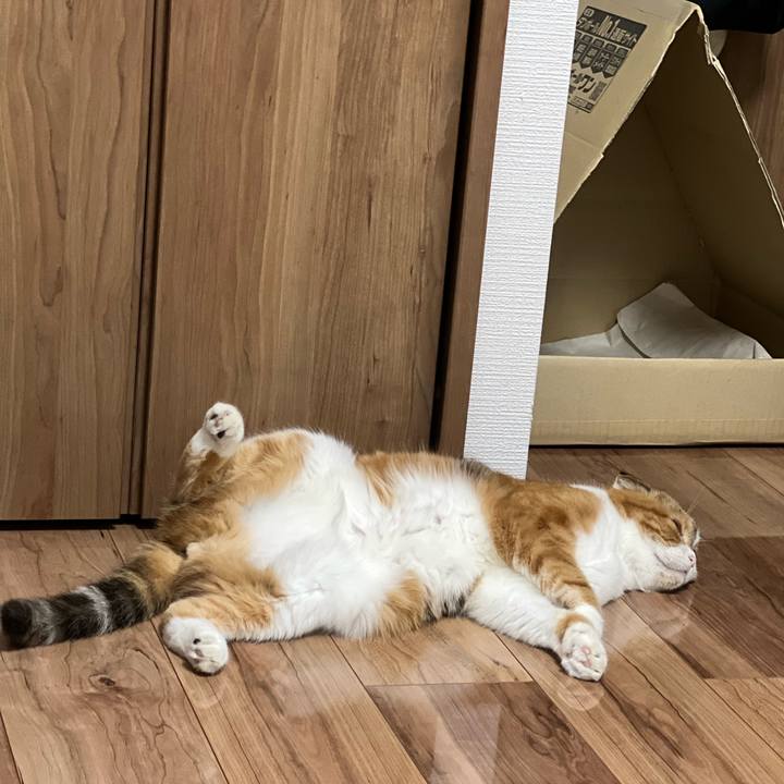 4e7fc2ba 47b6 4510 af75 f7fef9320a3c 1686951952139