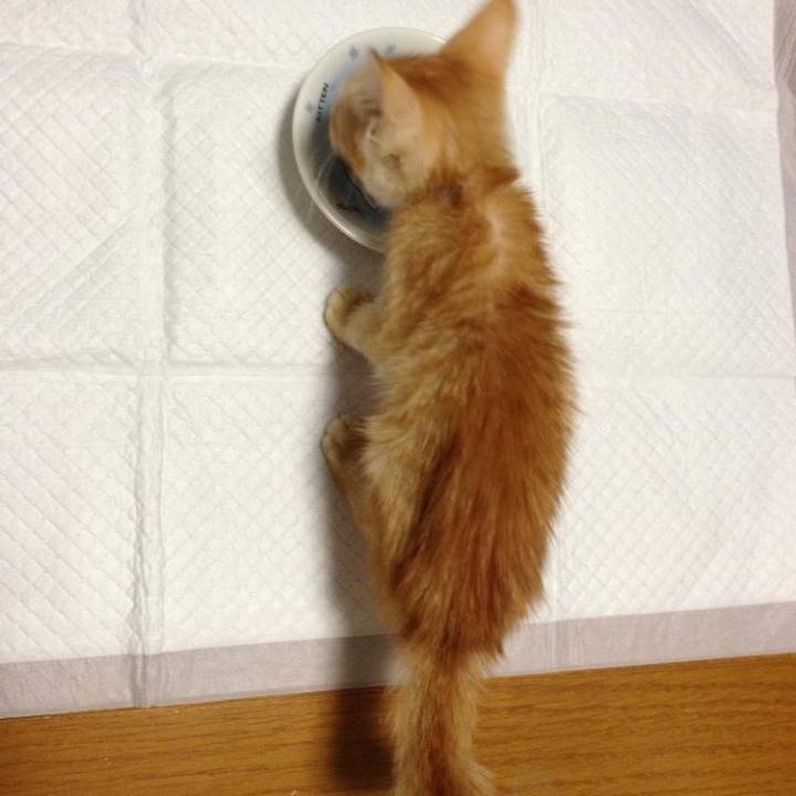 4e7fc4f4 cb6c 472c a694 aa3fdaf6249a 1643455438231