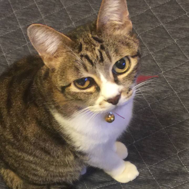 4e7fdb56 8d41 4564 98ec 27c53156482f 1547477337445