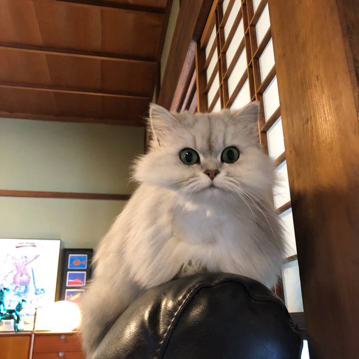 4e7fe2b0 5928 4ab1 b6ed 8529557e40bf 1555809285432