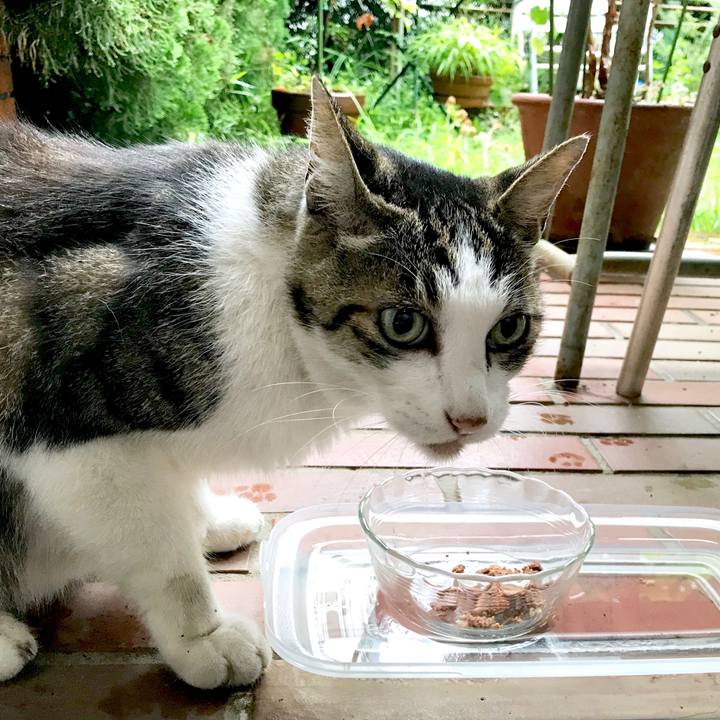 4e8000e0 0e6c 40b5 ba64 3308cbd37b89 1532740270786