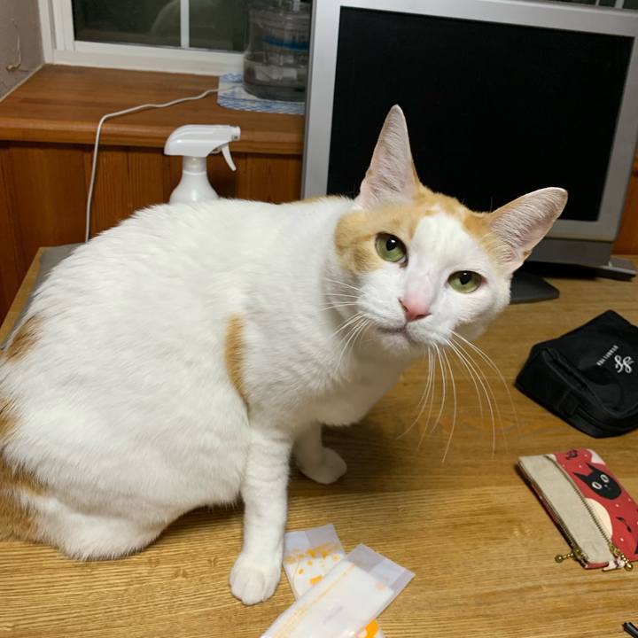 4e801168 ef97 4cbd 9f60 a078ec0ca31d 1640089364506