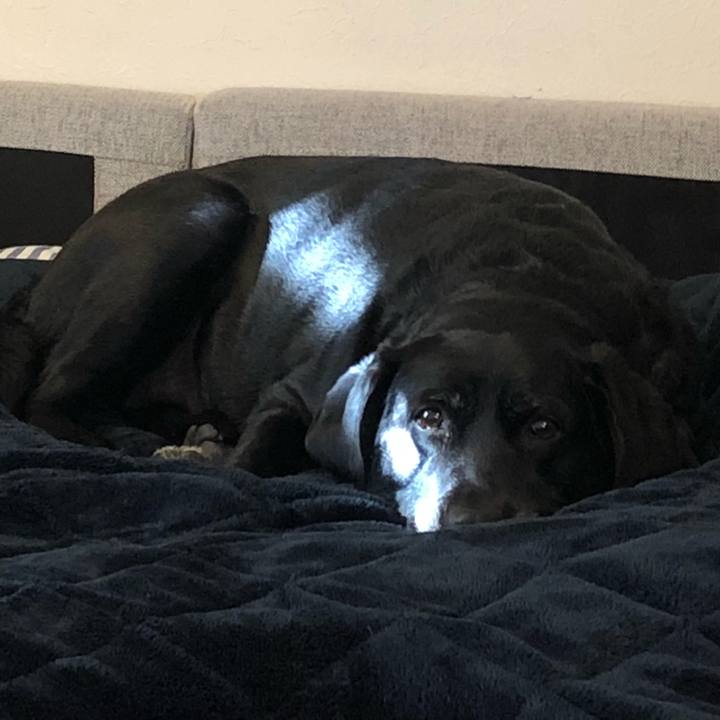 4e8036cc e22c 4dea b9e8 1cd81d4b57ea 1548807436615