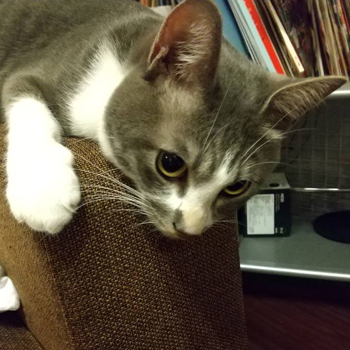 4e804f3b 737d 47ab bc3d 558907e571cd 1596116607154