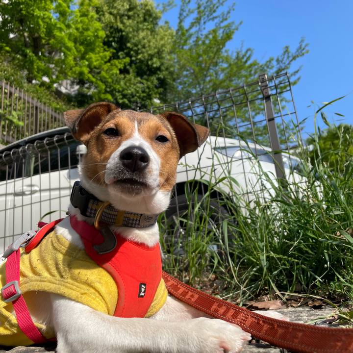 4e80d17b d35d 4f00 987f 2cbf4d7ae8f2 1682082217716