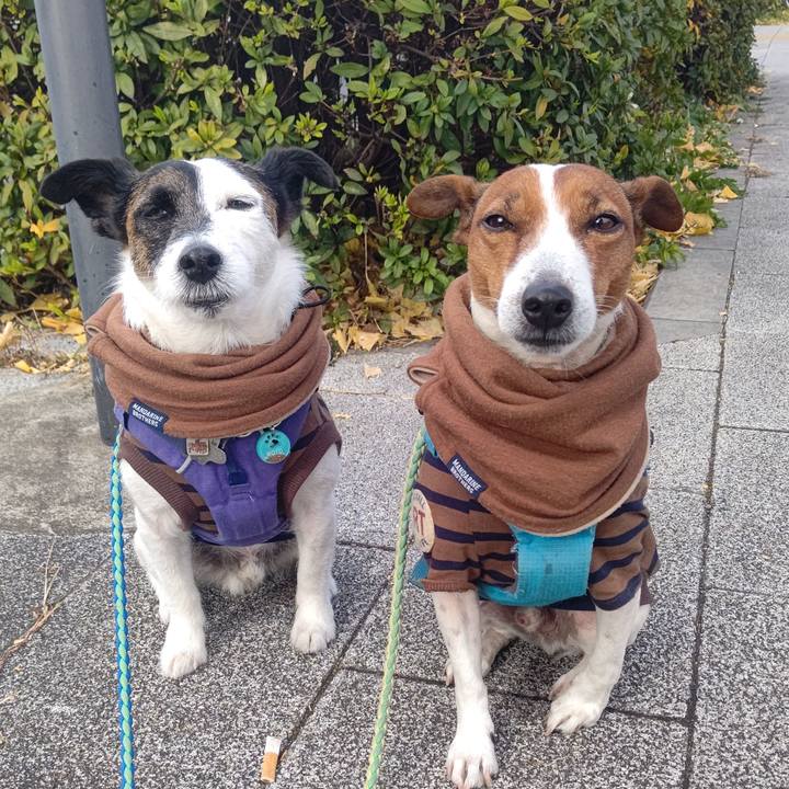 4e810d9f 70bc 4cfa 8f2d ae20771475f1 1672364282942