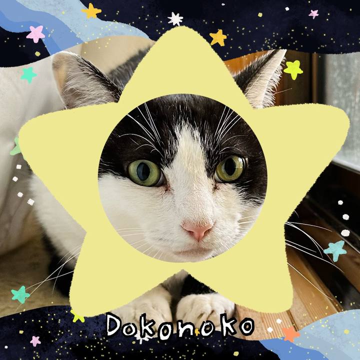 4e811566 bb35 49ac 8877 f8a094bcb95c 1721180929643