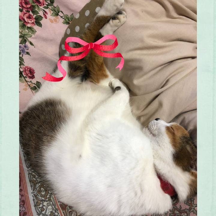 4e8158bd bf9a 4f19 a2c1 7af5651a6601 1524376035218