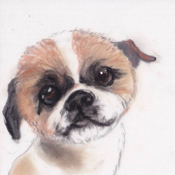 4e8165eb aa9f 4b18 b7fe 7a17b6ae599b 1679670101002