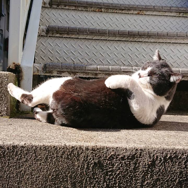 4e816929 a596 40f5 bc2f 79f8756c42af 1592021662343