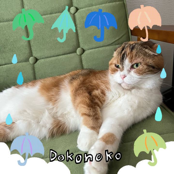 4e8179e1 5a59 4592 b631 52c05302ec28 1717594613441