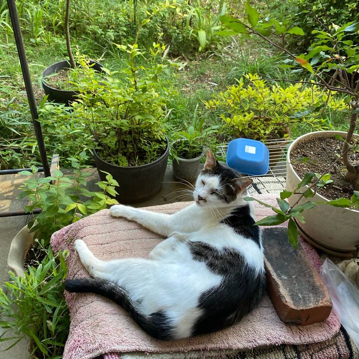 4e817d96 9eac 4485 b335 8d8204f8e0ef 1628228095621