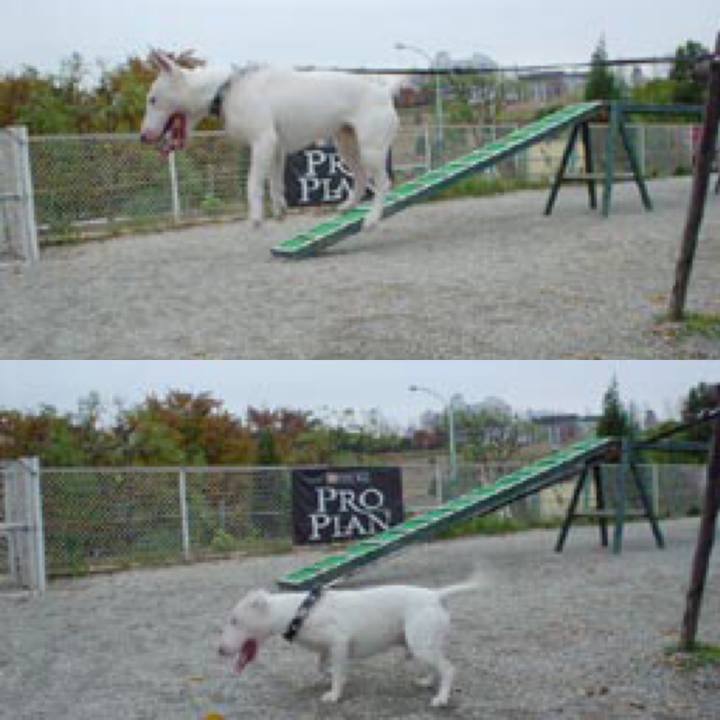 4e81bbba 3892 49c4 b9c9 f52eaad4dafc 1596371743397