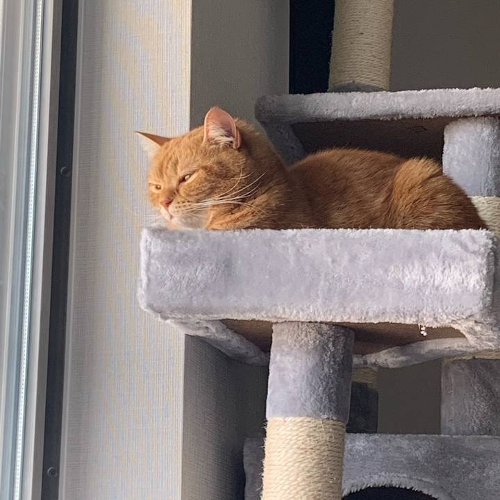 4e81dcf8 46d0 47bc 8544 513ff22a0e5d 1665446561601