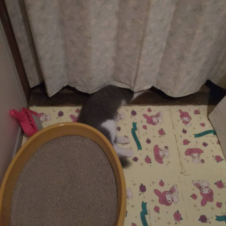 4e8207dd 506b 4904 b4d1 158dba74e670 1564830870717