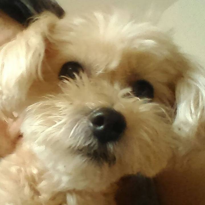 4e8235a9 510e 4ad3 9e09 893cbcec9479 1537910874316