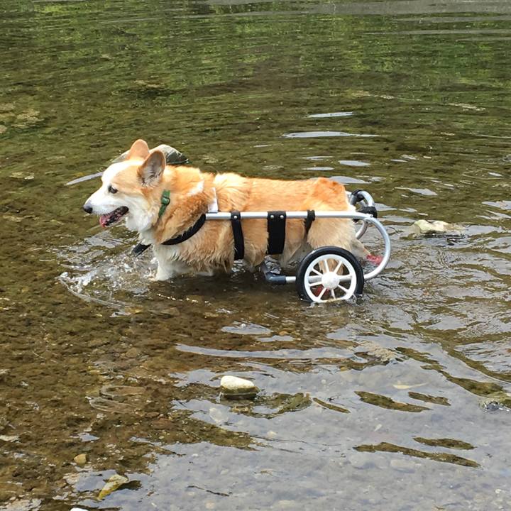 4e82458c 4fdc 4acc 84f5 5df08814028d 1528117665407