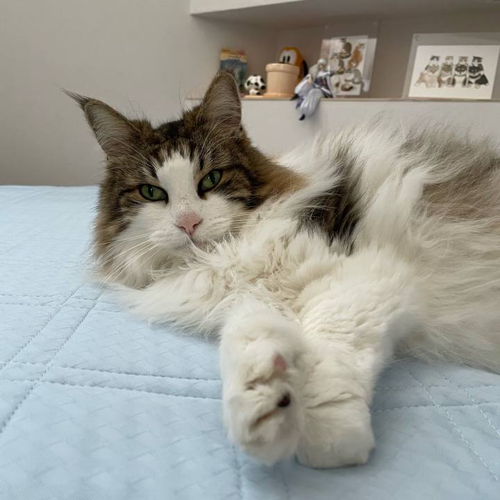 4e826ebb f3b3 45b1 801e 2481a2b9fb2d 1718779448931