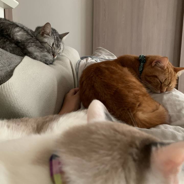 4e828051 5767 43a9 89ad 188d9aa9290a 1572159030503