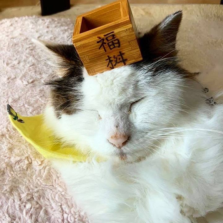 4e82947a e1e6 437b 80cb 63caec51fa90 1577862723074