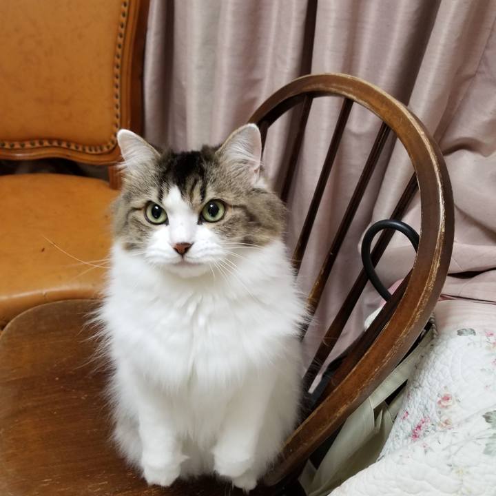 4e82c50a e912 4f3a 9f44 ae608bdfb60e 1539955395591