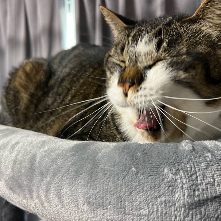 4e82dd0b 9445 4cf2 8ba8 dc66009c0dd6 1758189309090