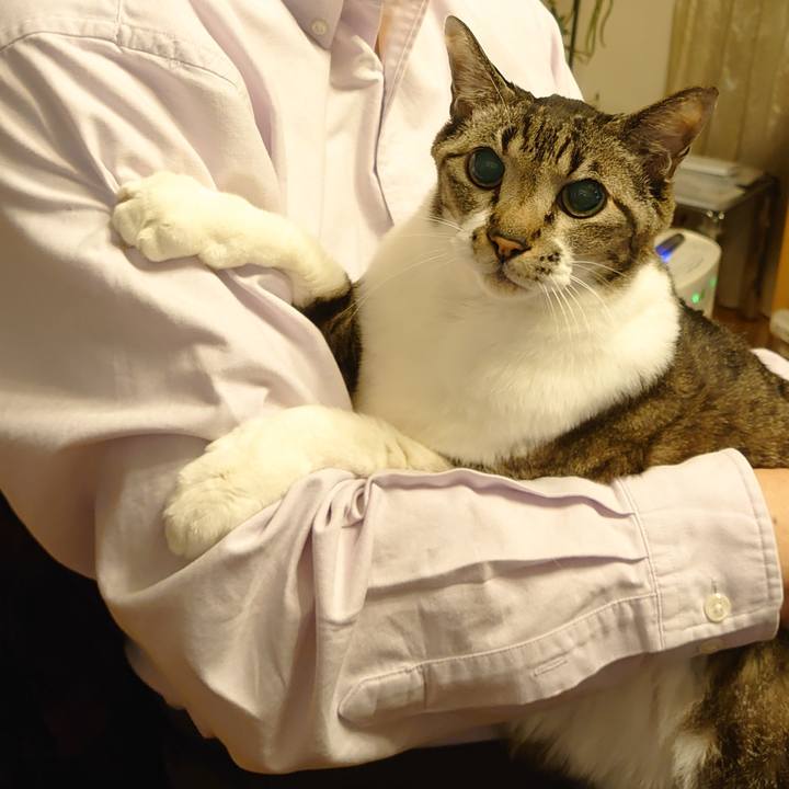 4e82ecb5 c129 4e18 b7a0 e2689612f87d 1772622504816