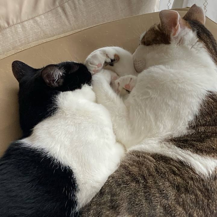 4e83217c a625 4cb8 880c c51533ecf6a9 1660284845192