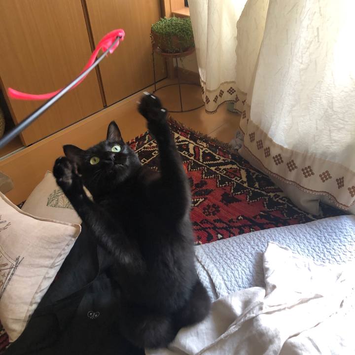 4e8329d4 6354 4888 9f88 0e68c094d4bc 1597540744703