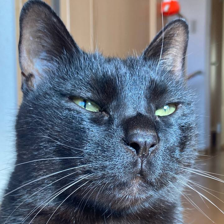 4e83adcf 838b 44d3 b999 e2a3136938fb 1773466051966