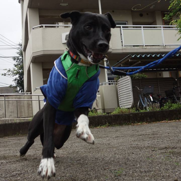 4e83ccd4 135a 42b0 a842 8883725920e9 1595375435159