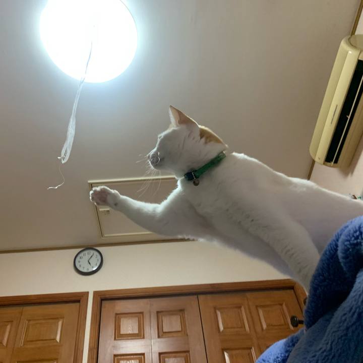 4e844319 8fb3 44c4 9fb6 6509c50bad00 1584831111628