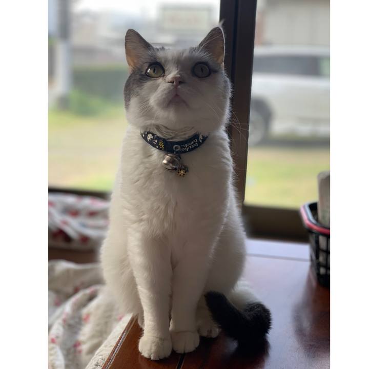 4e845061 128a 4cda 81a6 ca0502c00757 1714785559796