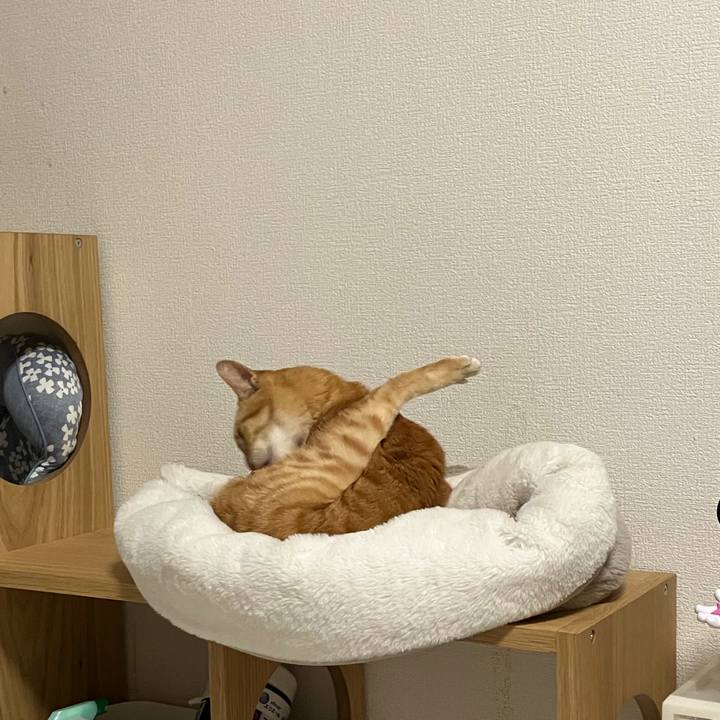 4e84534d 58b1 437b b6f6 7ee1c59431b5 1776514707014