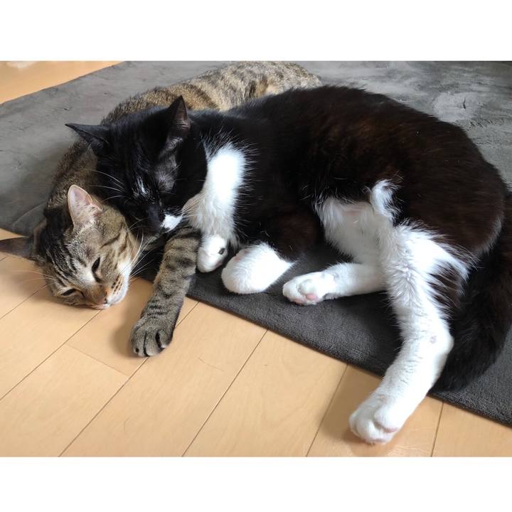 4e845ffc 737e 400b 8dae 9fc2ba61dd7f 1650419220864