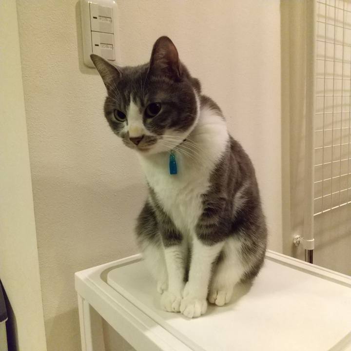 4e847b0f b331 41bf babc 685f12ac126d 1610020090868