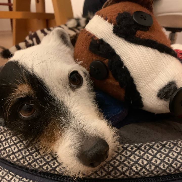 4e849b53 1fbc 4f16 8342 5484c9b6630d 1717154480552