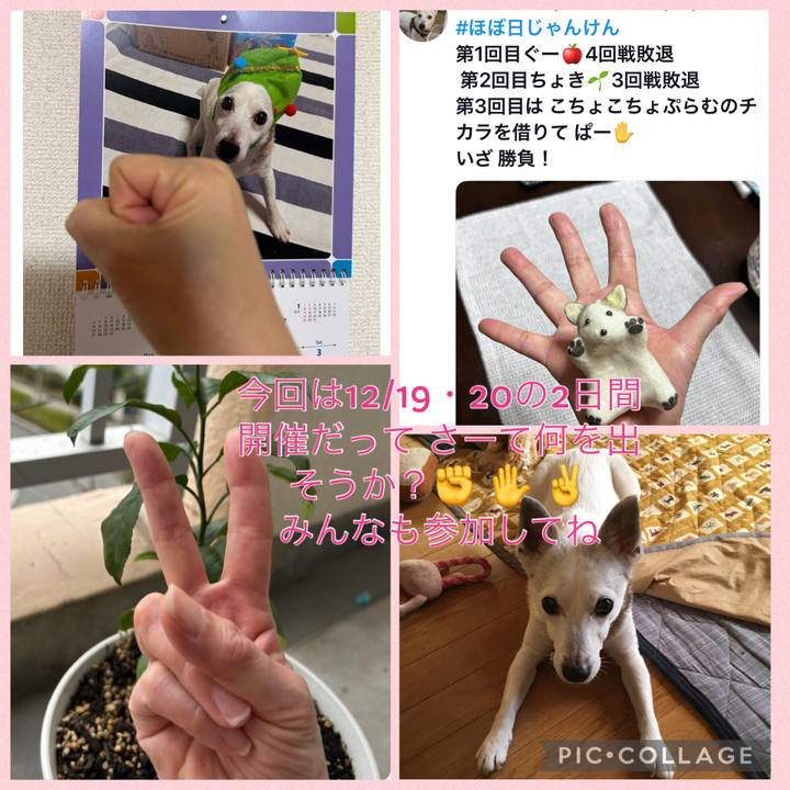 4e84ab8c abf5 494b 9642 124c38abb54a 1764819783768