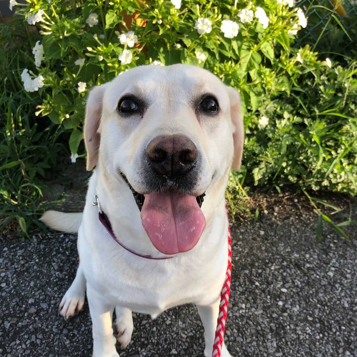 4e84e7a4 6c57 46bf 9bee 8ff8a0bdbe27 1598482645413