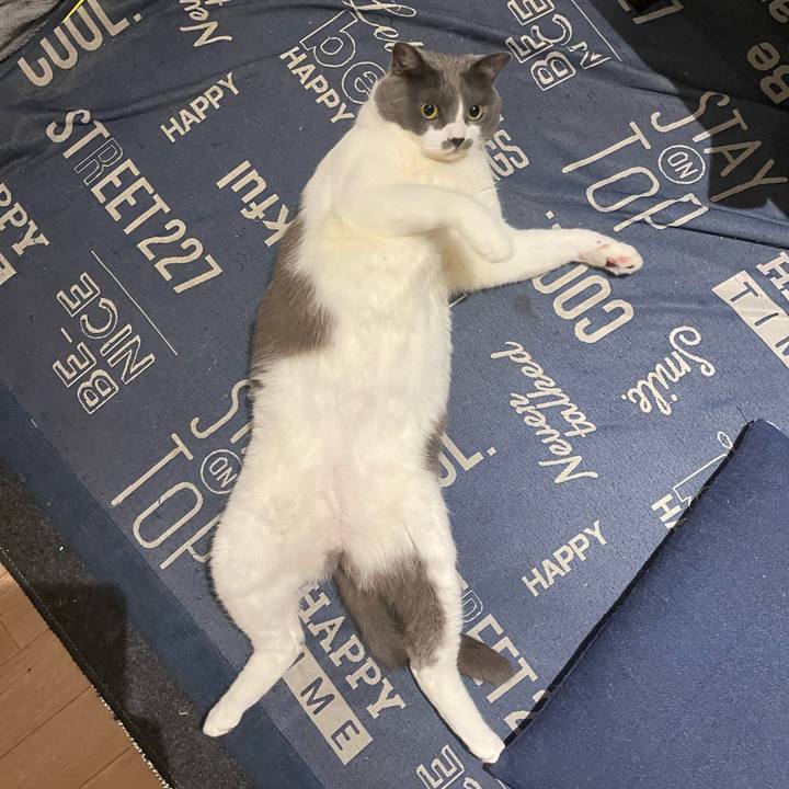 4e85089b f077 47e3 a248 b2ea78830264 1750253216656