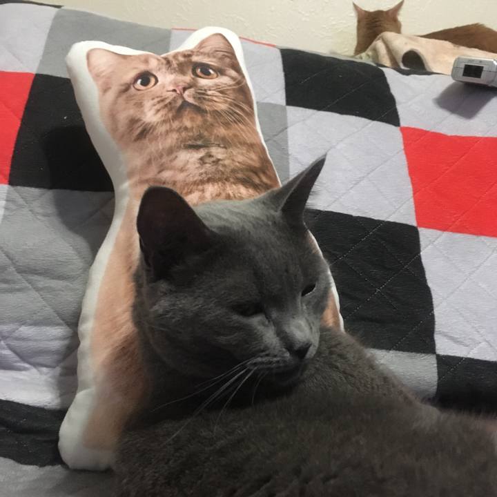 4e85147d 9c6f 470b 95ae c208692f703d 1645302959836