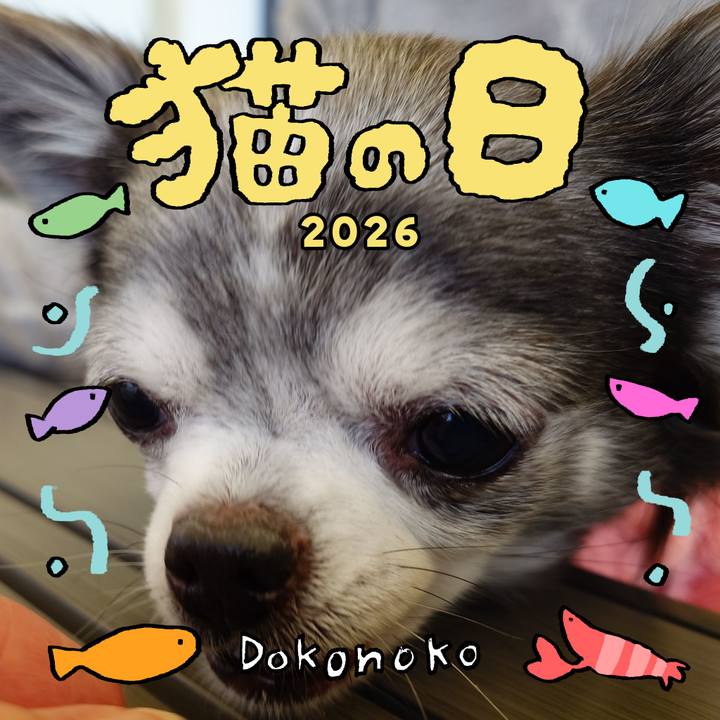 4e8531c7 9e4d 44f4 add2 20044819bb98 1771765732391