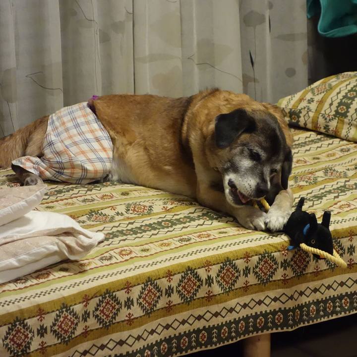 4e853932 945d 48a5 86d6 09b7f82f67de 1628293803766