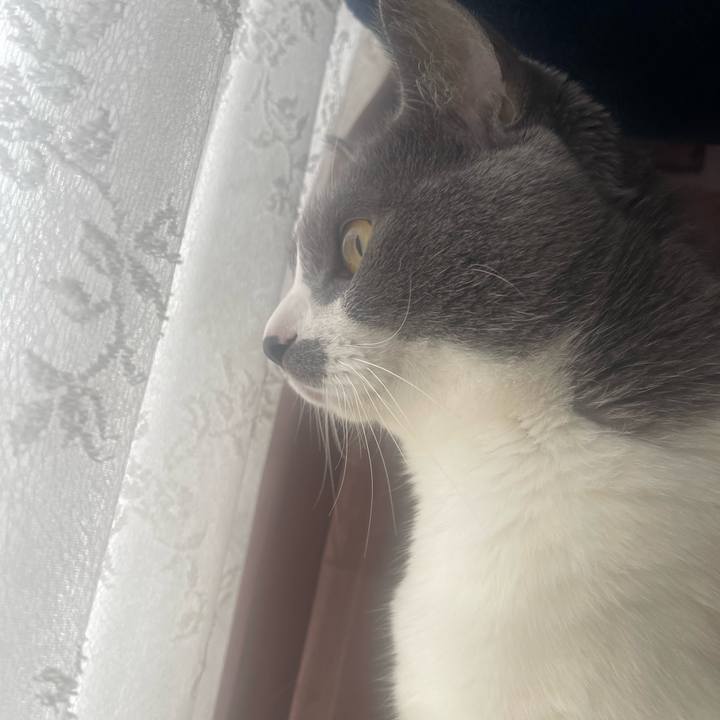 4e854b71 91db 4b93 b0c1 86629540ee16 1714515958914