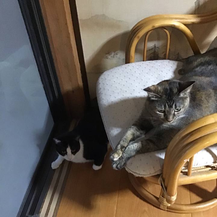 4e859972 eeaa 4456 af16 9277fae09584 1755602664973